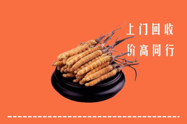 收购行情：宿州泗县回收散虫草