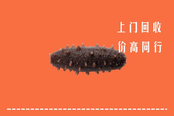 宿州泗县回收海参