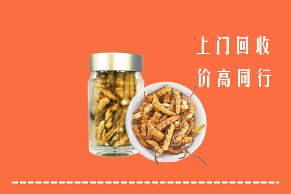 宿州泗县回收冬虫夏草